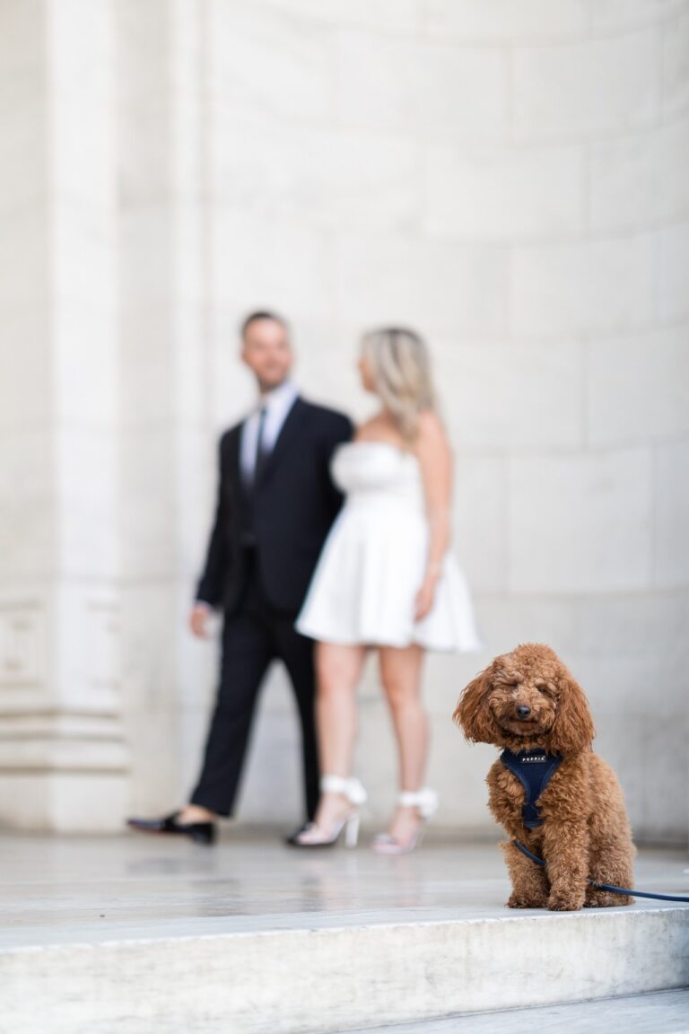 Wedding Photographers NYC