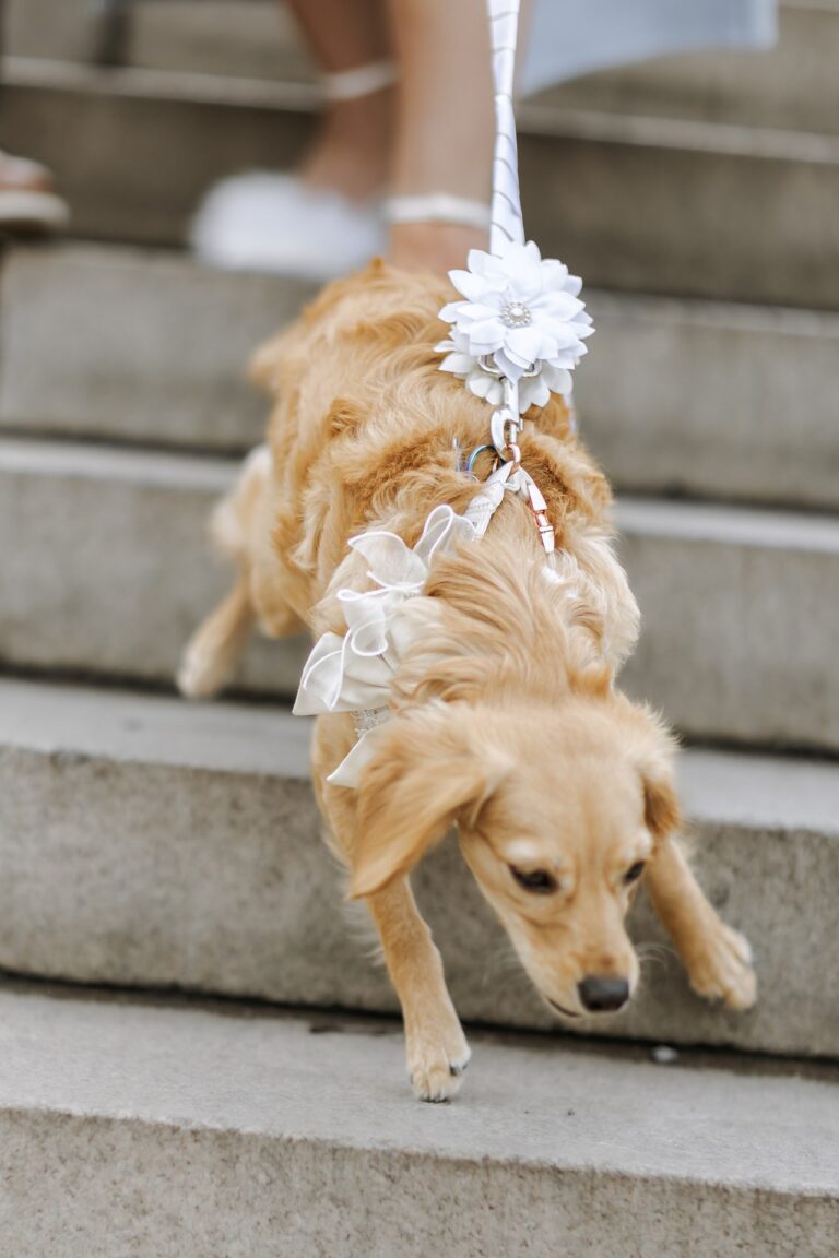 Wedding Photographers NYC